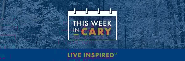 TOC-TWIC-Rebranded-header_Winter